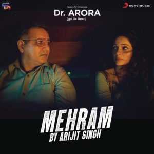 Dr. Arora 2022 MP3 Songs