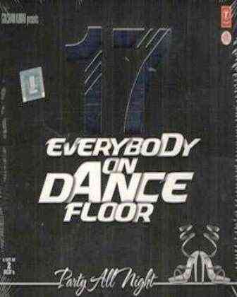 EVERYBODY ON DANCE FLOOR 17 CD SET OF 2 2013 Remix MP3