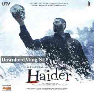 Haider 2014 MP3 Songs